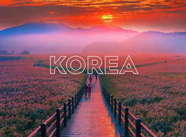 Teach in the amzing country South Korea